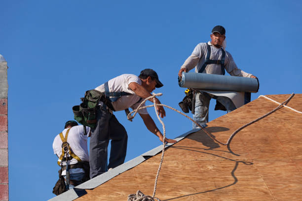 Best Commercial Roof Installation  in Window Rock, AZ